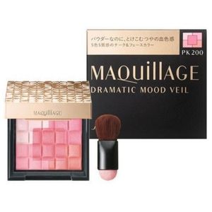 Shiseido Maquillage Japan rd 100 8g